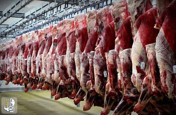 تداوم تولید گوشت قرمز با تامین سرمایه در گردش واحدهای پرواربندی