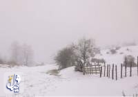 هشدار قرمز هواشناسی نسبت به بارش سنگین برف در ۴ استان