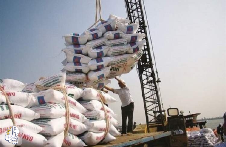 کاهش واردات برنج در راستای حمایت از تولید داخل