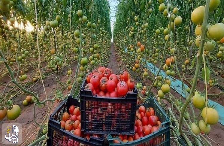 افتتاح ۱۳۷ طرح کشاورزی در خراسان شمالی
