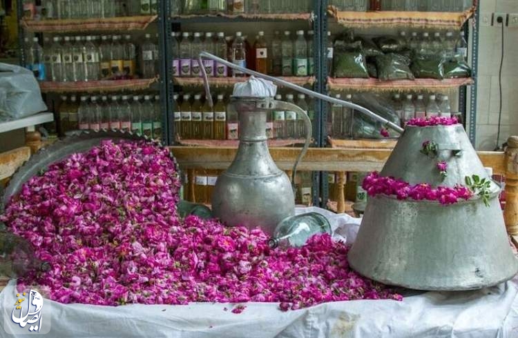 صادرات ۲ میلیون لیتر اسانس گل محمدی به ۹ کشور