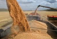 Russia completes grain deliveries to six poorest African countries