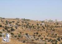 مصادره 8 هزار هکتار زمین در کرانه باختری اشغالی توسط صهیونیست‌ها