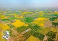واگذاری بیش از ۱۹ هزار هکتار از اراضی ملی و دولتی برای اجرای طرح‌های کشاورزی غیر کشاورزی