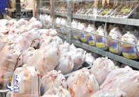 تداوم کاهش قیمت مرغ با عرضه پیوسته در بازار