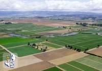 رئیس سازمان امور اراضی: ۷۵ درصد از اراضی کشاورزی کشور رفع تداخل شده است