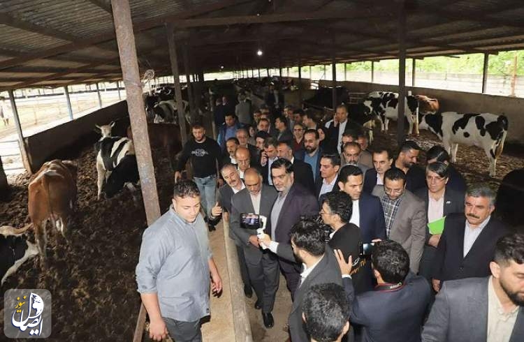 وزیر جهاد کشاورزی: نهاده شش ماهه اول سال تامین شده است