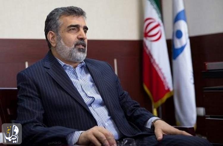 كمالوندي: ايران لن تتنازل عن حقوقها المشروعة امام الضغوط السياسية