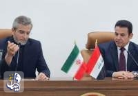 باقری کنی: لبنان جهنم بدون بازگشت برای رژیم صهیونیستی خواهد بود