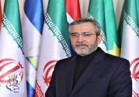 باقري کني يهنئ وزراء خارجية الدول الإسلامية بمناسبة عيد الأضحى المبارك