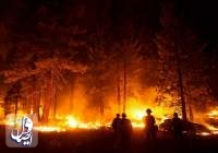 آتش سوزی جنگلی در کره جنوبی، ۱۶ کشته و ۱۹ مجروح بر جای گذاشت