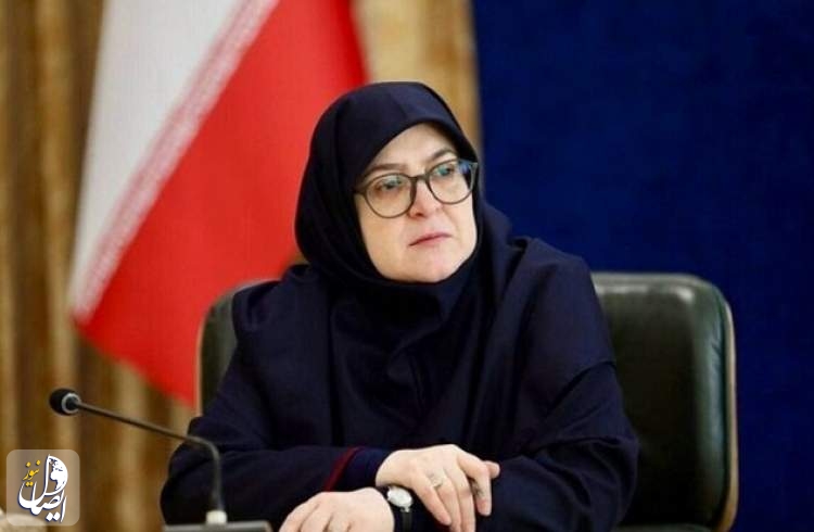 مهاجرانی: دولت بر اجرای مصوبات سفر اربعین نظارت دارد