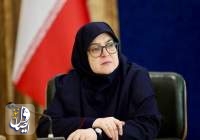 مهاجرانی: دولت بر اجرای مصوبات سفر اربعین نظارت دارد