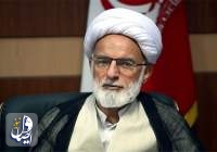 دری نجف آبادی: پیاده‌روی اربعین نماد بارز همبستگی و وفاق در میان امت اسلامی است